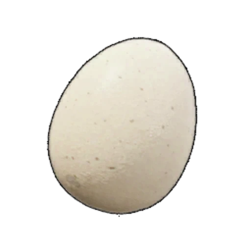 File:Egg.webp