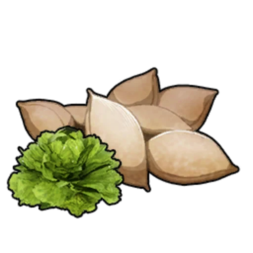 File:Lettuceseeds.webp